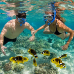 snorkeling_grand_cayman
