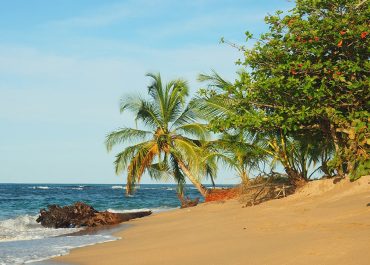 Discover the Best Kept Secrets of Puerto Viejo, Costa Rica